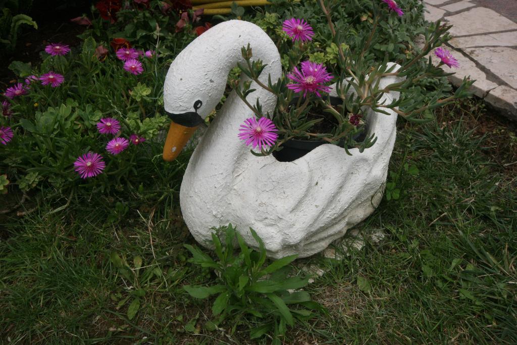 Apartment Luisa Poreč Dış mekan fotoğraf
